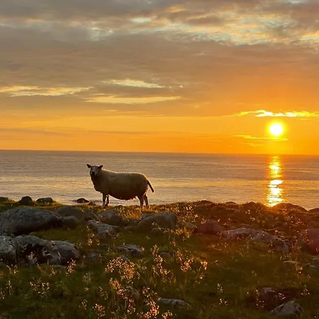 Perfekt Base For Det Meste! Leknes